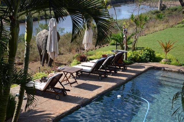 Khandizwe Kruger Villa Malalane Rum bild